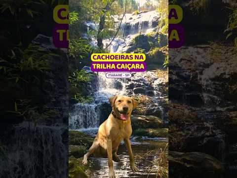 😱5 cachoeiras em ÚNICA trilha no PARQUE das Barreiras #trilhacaiçara #itarare