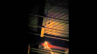 Belle Brigade - Lucky Guy (stripped down @ McCabe&#39;s, 12.9.11)