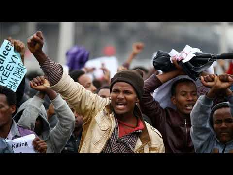 Ayyaana Waggaa 10ffaa Liigii Mirga Namoomaa Gaanfa Afrikaa (LMNGA) Irratti Kan Dhihaate