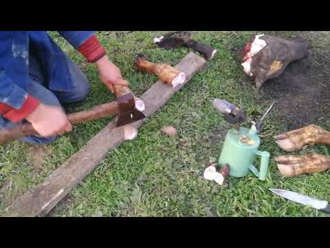 Почук кала 😂 тоза кем 😂 дангича 😂 мепазем 😂 дар росия