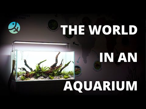 Watch Video on YouTube