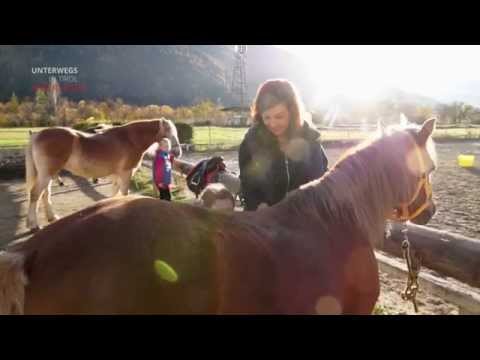 Tirol TV - pädagogisches Reiten