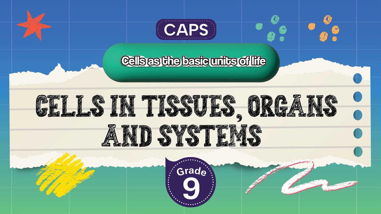 [GRADE 9] Cells in tissues, organs and systems