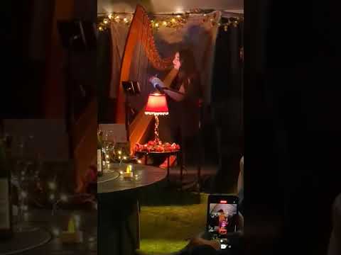 Promotional video thumbnail 2 for Amanda Peckler