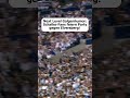 Bitterer Galgenhumor auf Schalke