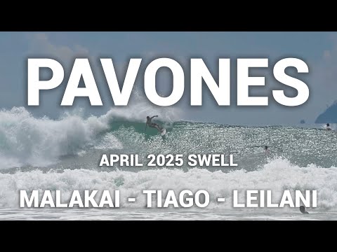 Chasing Perfection: Pavones April 2025 Swell (Surf Costa Rica) Great waves for days