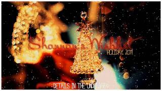 Shannie's Wishlist// Holiday 2011--be my santa ;')