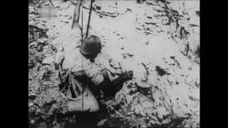 The Egg Harvest of Flamborough Head (1908) Cricks & Sharp