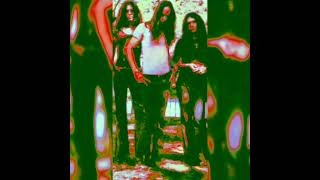 White Dove (Acoustic) Rickey Medlocke on Vocals-Lynyrd Skynyrd