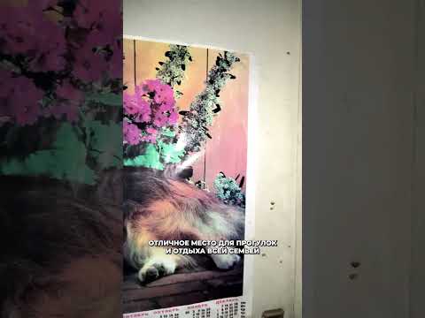 Купить дом, аг. Ратомка, ул. Минская (Минский р-н, Минская область)