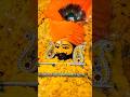 Mara Bank Ko Manager Maro Shyam New Superhit Bhajan Khatu Shyam Bhajan Jai Shree Shyam Yt