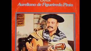 Noel Guarany Canta Aureliano de Figueiredo Pinto (1978) [Álbum Completo/Full Album]