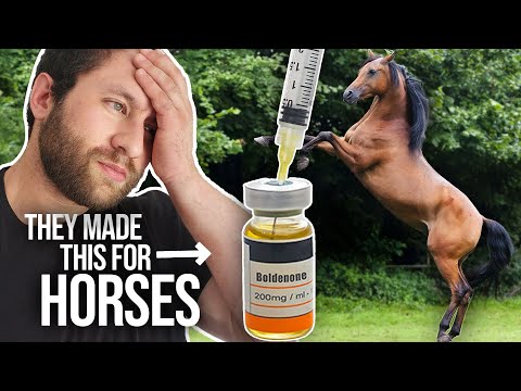 Equipoise "Horse Steroid" Boldenone Explained