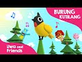Burung Kutilang Lagu Anak Di Pucuk Pohon Cemara