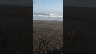 Download lagu keindahan pantai Parangtritis jogja di pagi hari #youtubeshort #jogjakarta #jogjaistimewa mp3 Download lagu keindahan pantai Parangtritis jogja di pagi hari #youtubeshort #jogjakarta #jogjaistimewa mp3