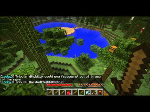Minecraft Hunger Games: Episode 22- Subzer0 Victorious