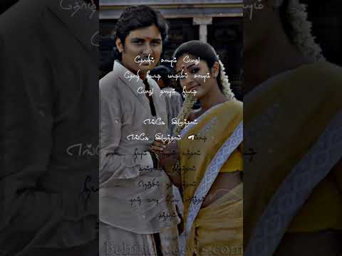 Tholil saayum pothu thozhi neeyadi ✨❤💖|#jivan |#poonambajwa |#kanjakaruppu |#trending |#shorts