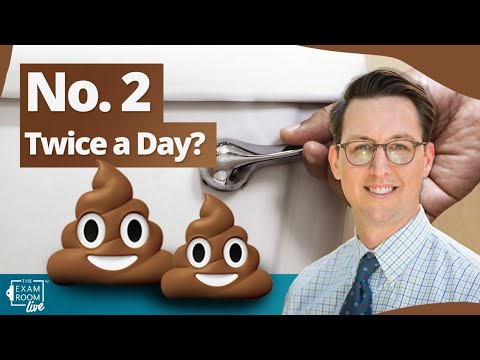 How Often Should You Poop? | Dr. Will Bulsiewicz on The Exam Room LIVE