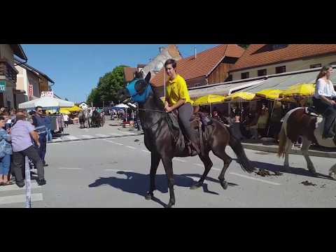 Marija bistrica 2019- konjske zapreke