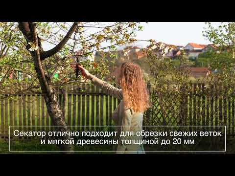 Миниатюра изображения товара Секатор механический Plantic P200 / 25200-01