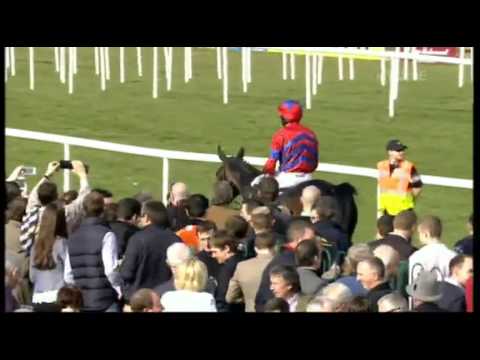Sprinter Sacre - Boylesports Champion Chase Punchestown 2013