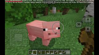 Minecraft beta 1.20 I play