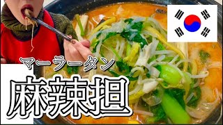 【韓国vlog ~라쿵푸마라탕~】韓国女子に大人気！病みつきになるマーラータン！