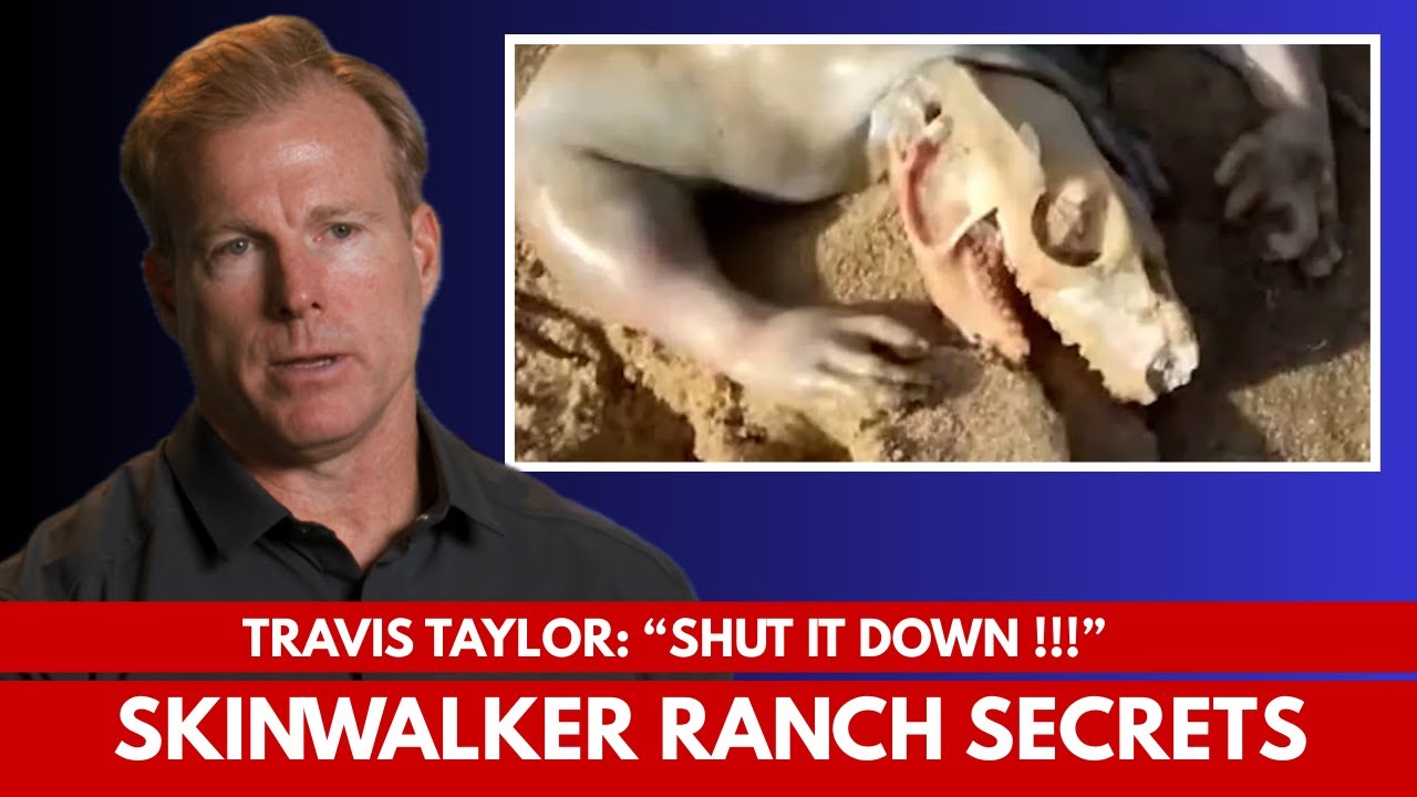 YouTube Thumbnail Downloader FULL HQ IMAGE