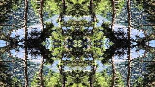 Roy Aquarius - Beneath An Indian Sky (Hanuman Monkey Mix) (Trans-Lucid Remix)