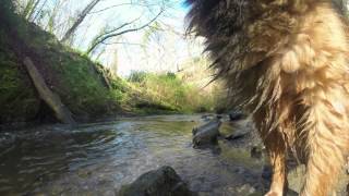 preview picture of video 'GoPro Life - Crawfordsburn Northern Ireland'