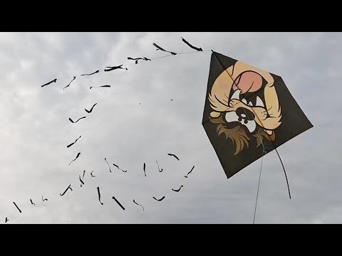 Cutting and trimming kites in Baixada, Taz's kite with 4.4 line!!! 🔥