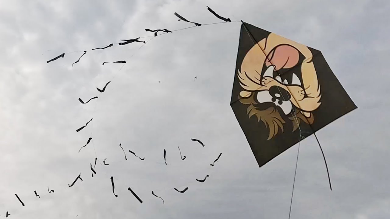 Cortando e Aparando Pipas na Baixada, Pipão do Taz com Linha 4.4!!! 🔥