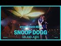 Snoop Dogg Gin And Juice Amazon Music