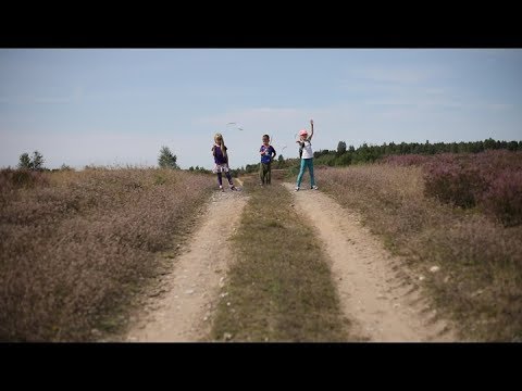 Olga, Jagoda i Tomek - Wrzosowisko