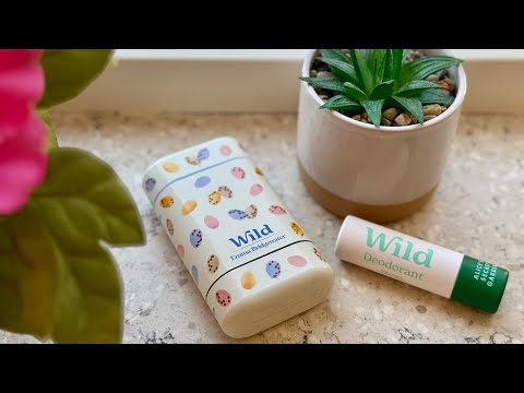 Watch Caesar Milan Travelling to Japan on YouTube