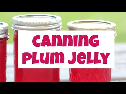 download lagu mp3 mp4 Plum Jelly, download lagu Plum Jelly gratis, unduh video klip Plum Jelly