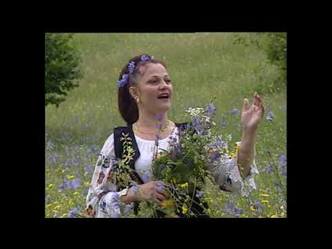 MA TREZII DE DIMINEATA - MARIA PETCHESCU
