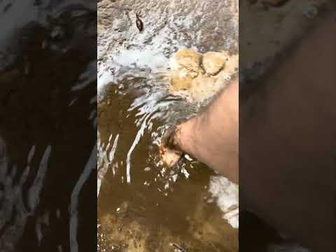 29 de novembro de 2025