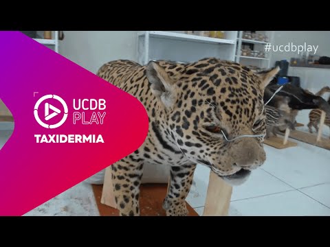 UCDB Play - Taxidermia