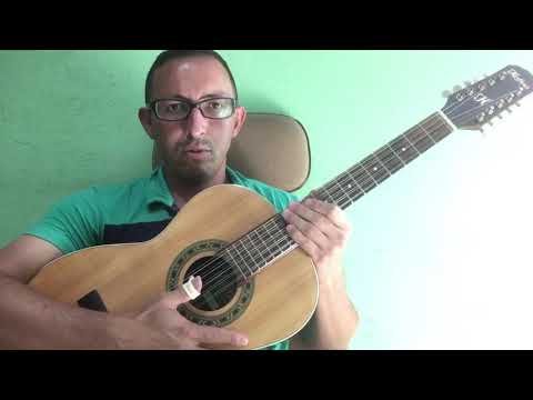 Garça Branca - Vieira e Vieirinha