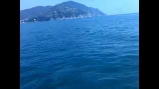 preview picture of video 'I delfini tra Moneglia e Framura - Aprile 2014'