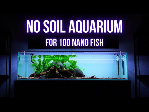 NO SOIL BIG SHALLOW AQUARIUM for 100 NANO FISH | Step by step AQUASCAPING TUTORIAL | EP1