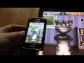 Two Talking Tom Test Hallo