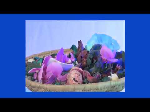 The Rumour Said Fire - Television Personalities (Official video)