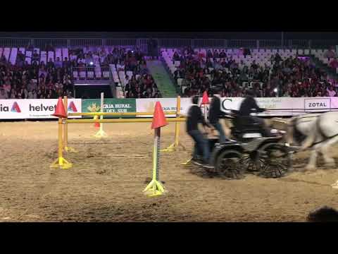 SICAB 2017 - Saturday Espectaculo