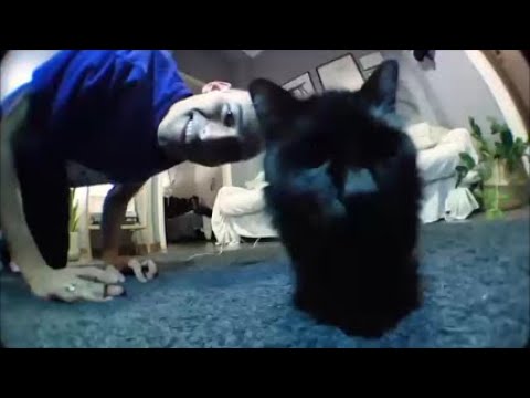 [free] fats'e, midwest emo, guardin type beat - drownuout (prod. irby)