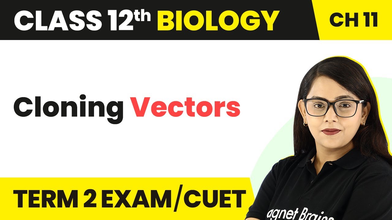 Cloning Vectors - Biotechnology: Principles and Processes | Class 12 Biology Chapter 11 (2022-23)
