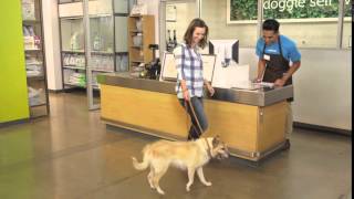 San Antonio, Texas Grand Opening (Petco)