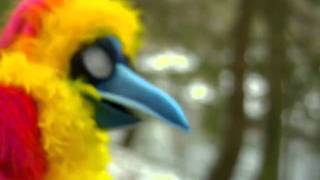 Dinosaur Feathers - History lessons