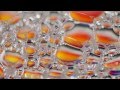 First Aid 4 Souls - Back to Shambala